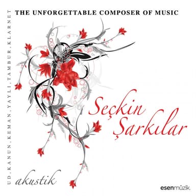 Seçkin Şarkılar (The Unforgettable Composer of Music / Akustik)