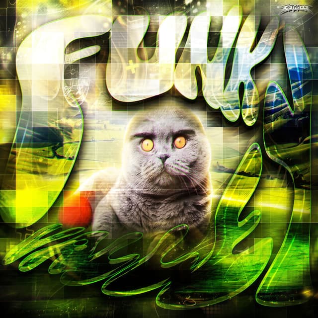 FUNK VALLEY