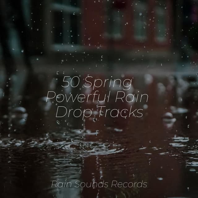 50 Spring Powerful Rain Drop Tracks