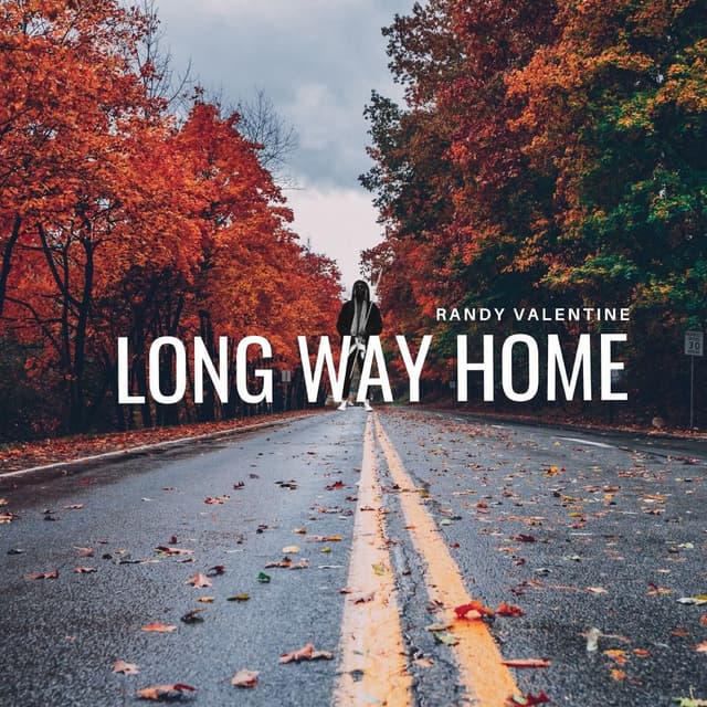 Long Way Home
