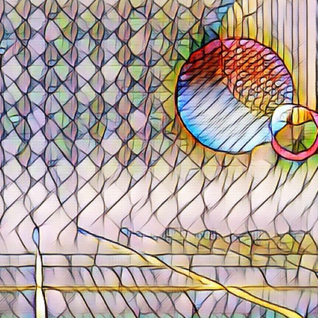 Feelings for New Rhythm