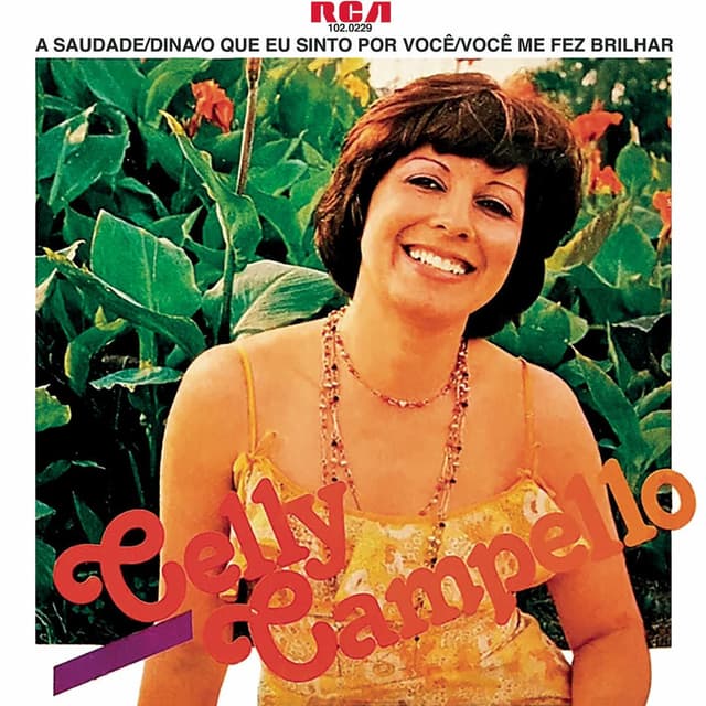 A Saudade (It's A Heartache) / Dina / O Que Eu Sinto Por Você / Você Me Fez Brilhar (You Light Up My Life)