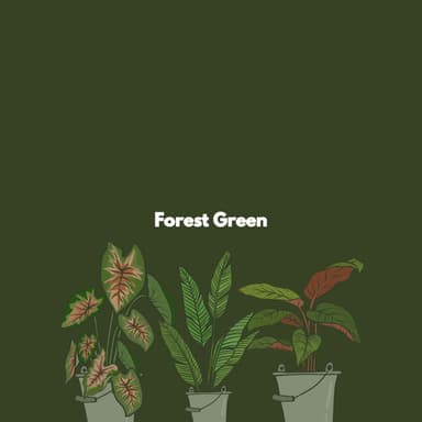 Forest Green