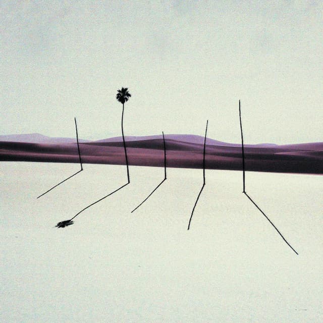 Above Reflection
