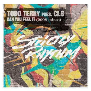 Can You Feel It? (2008 Mixes)