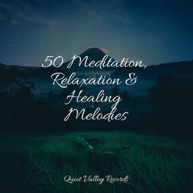 50 Meditation, Relaxation & Healing Melodies
