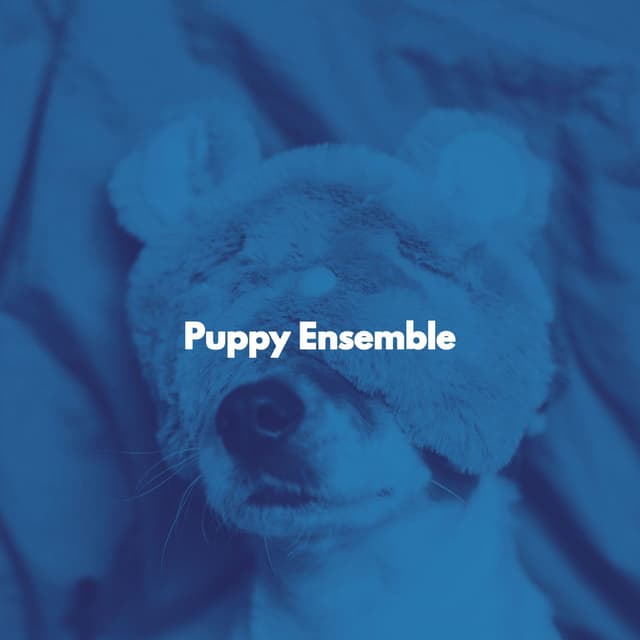 Puppy Ensemble