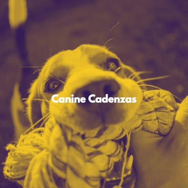 Canine Cadenzas