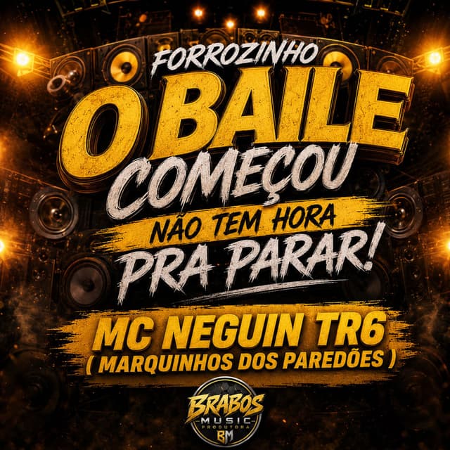 Forrozinho o Baile Começou Não Tem Hora pra Parar