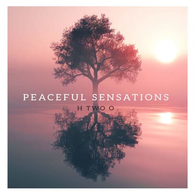 Peaceful Sensations