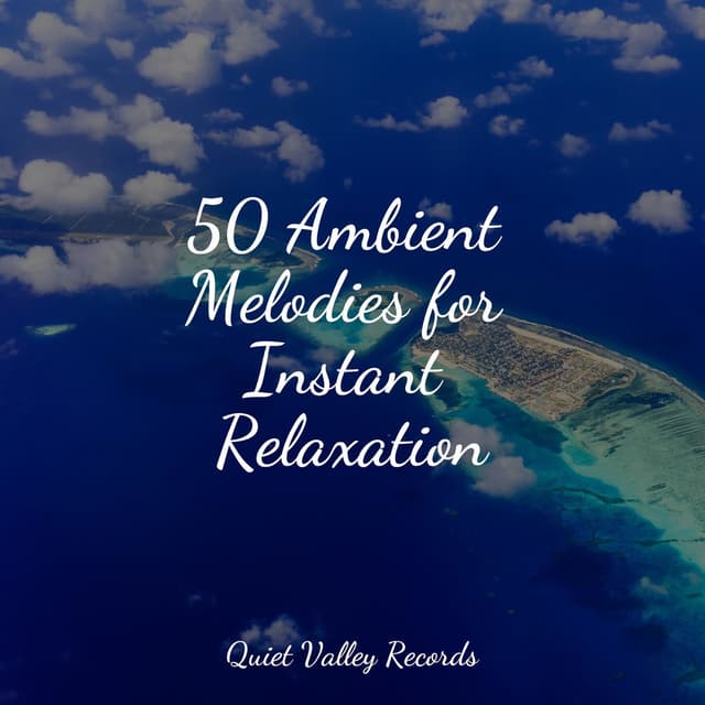 50 Ambient Melodies for Instant Relaxation