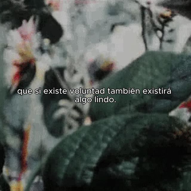Día 1