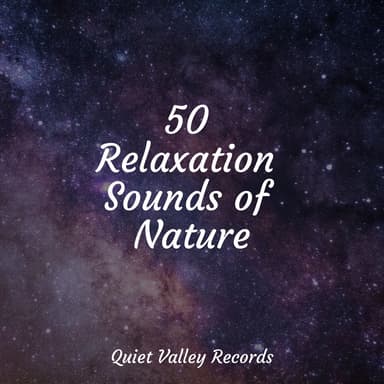 50 Relaxation Sounds of Nature