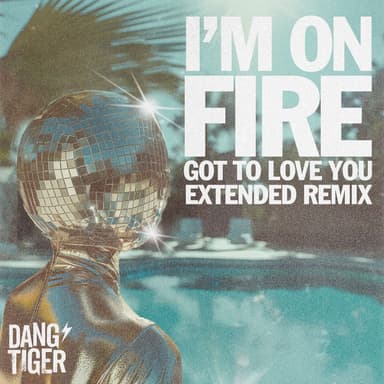 I'm on Fire (Got To Love You Extended Remix)