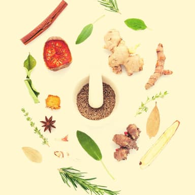 Trumpet Solo - Background for Fun Recipes