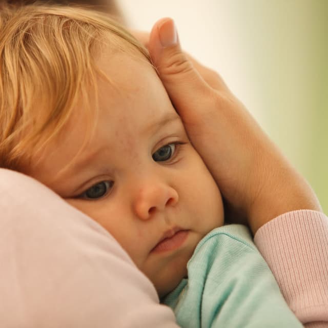 Binaural Sanctuary: Nature's Ambient Harmonies for Baby's Calm Delight