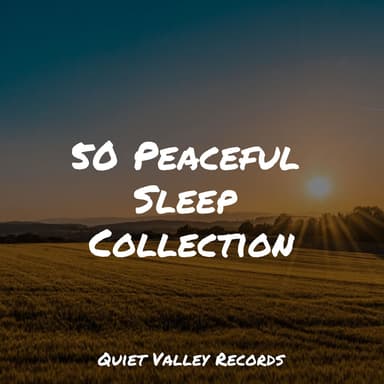 50 Peaceful Sleep Collection