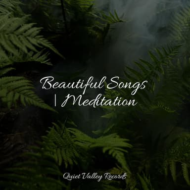 Beautiful Songs | Meditation