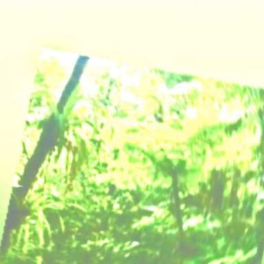 SUNGOD