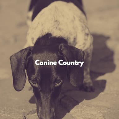 Canine Country