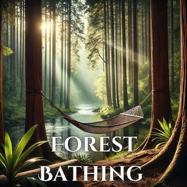 Forest Bathing: Deep Relaxation & Fresh Morning Ambience for Meditation and Wellness