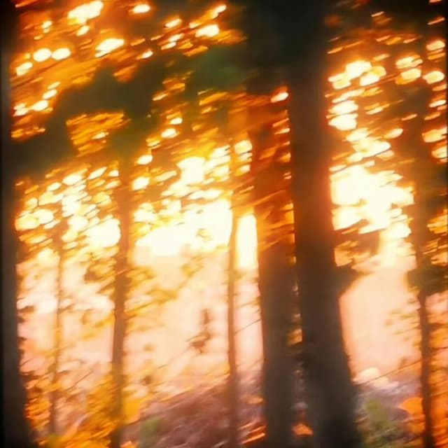 Cigarettes & Sunsets (feat. EDDI 29)