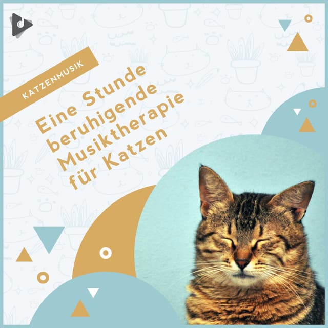 Eine Stunde beruhigende Musiktherapie für Katzen