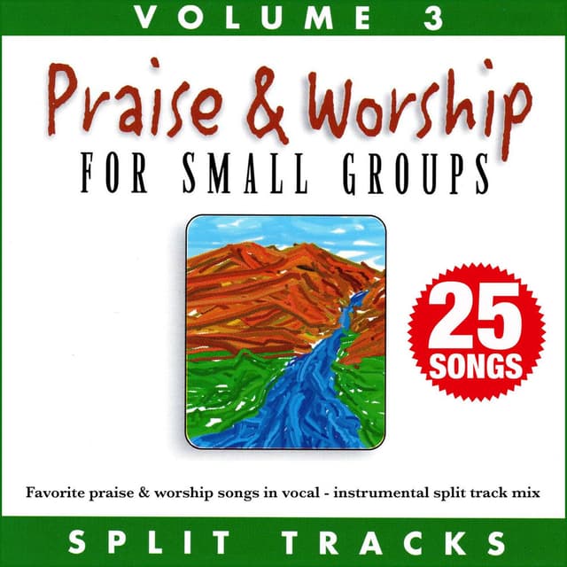 Praise & Worship for Small Groups (Whole Hearted Worship), Vol. 3 (Split Tracks)