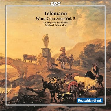 Flute Concerto in D Major, TWV 51:D1: I. Andante