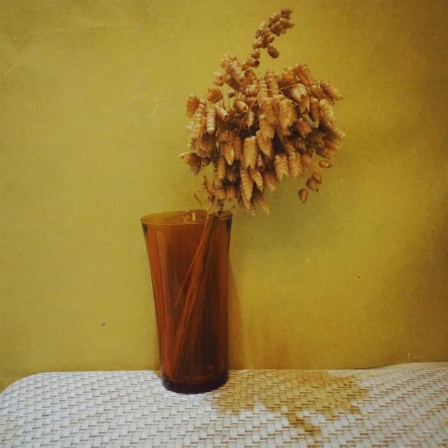 Vaso 1/2 Vacío