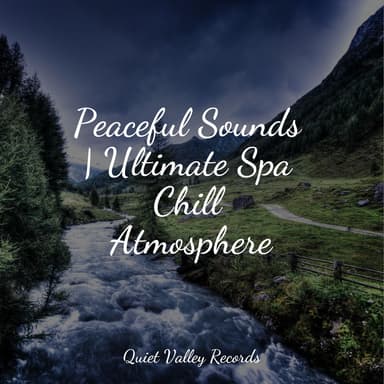 Peaceful Sounds | Ultimate Spa Chill Atmosphere