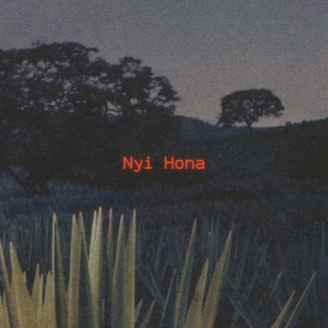 Nyi Hona (feat. Kunwxrr)
