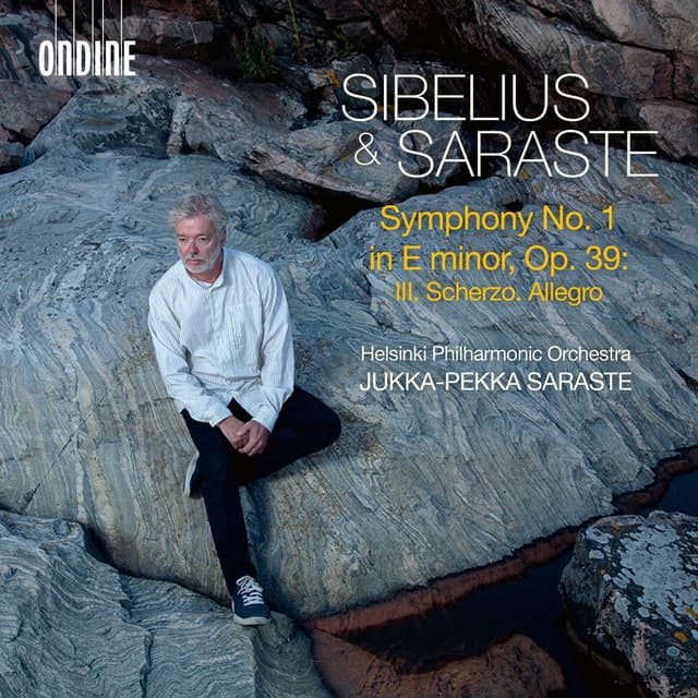 Sibelius & Saraste: Symphony No. 1 in E minor, Op. 39: III. Scherzo. Allegro