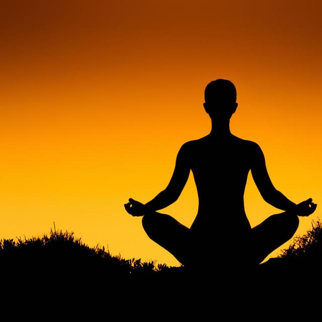 Harmonic Soul