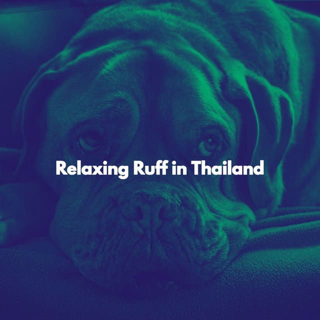 Relaxing Ruff in Thailand