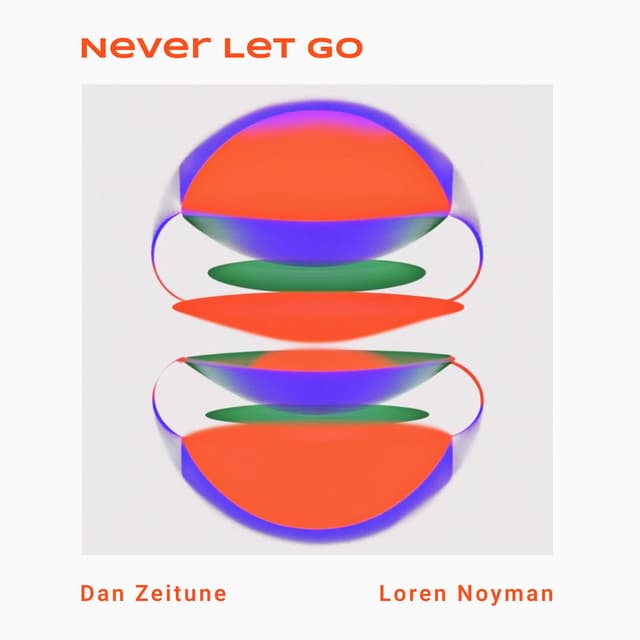 Never Let Go