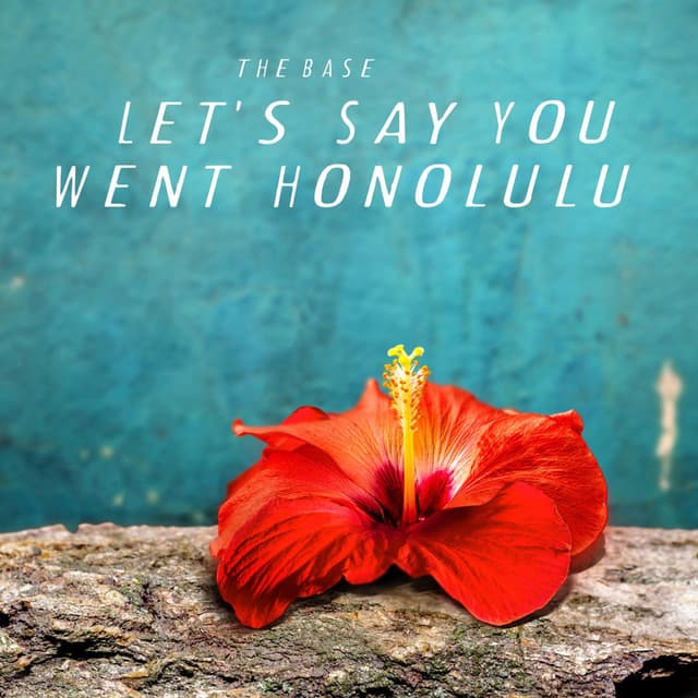 Let's Say You Went Honolulu