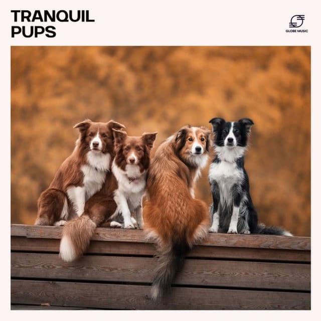 Tranquil Pups: Relaxing Music for Dogs