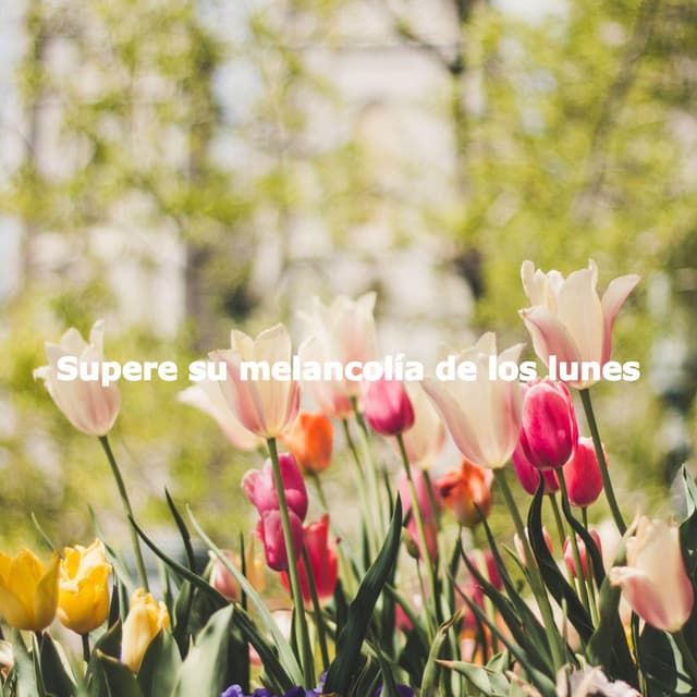 Supere su melancolía de los lunes