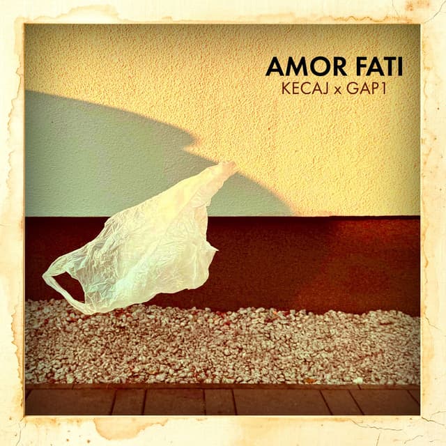 Amor Fati
