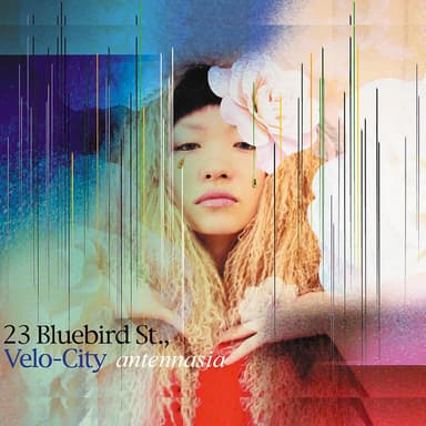 23 Bluebird St., Velo-City (Remastered)