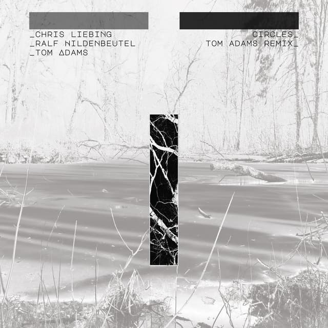 Circles (feat. Tom Adams) (Tom Adams Remix)