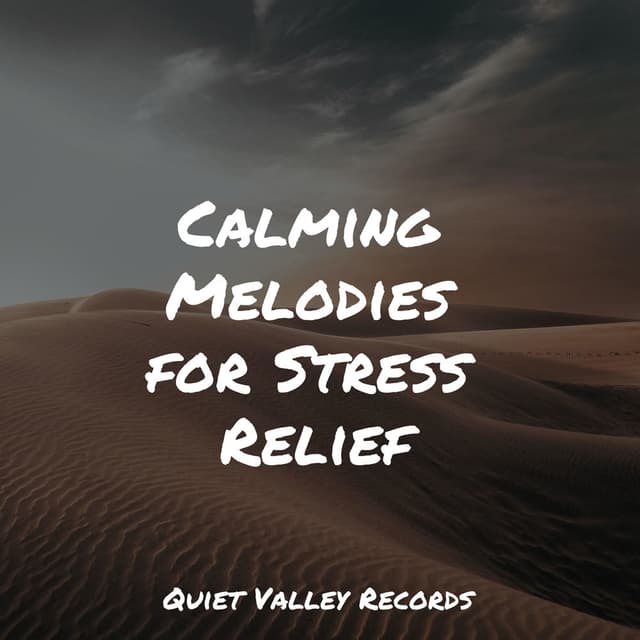 Calming Melodies for Stress Relief