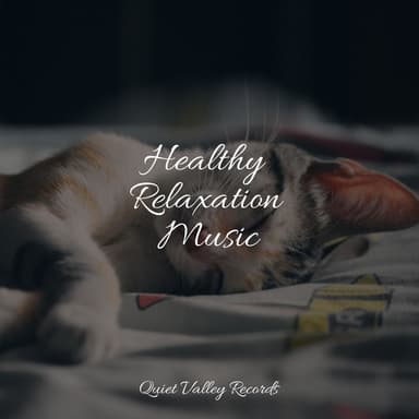 Healthy Relaxation Music