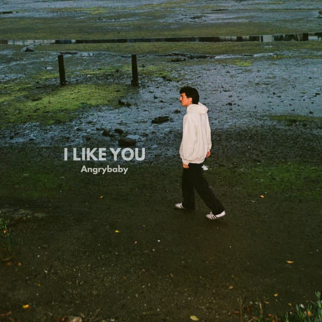 I LIKE YOU