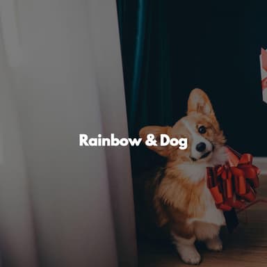 Rainbow & Dog