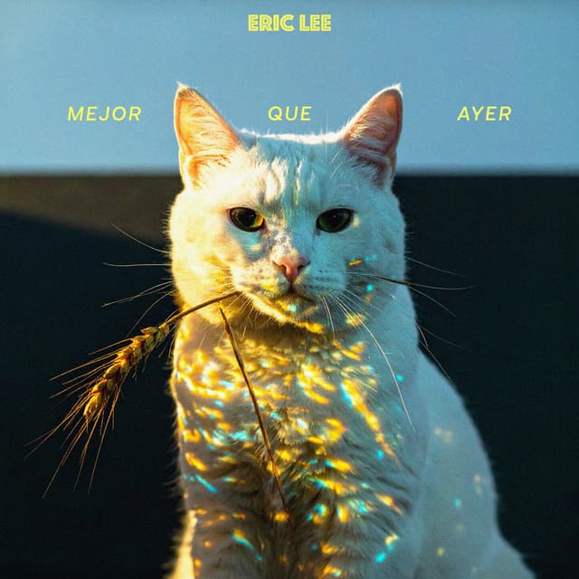 Mejor que ayer