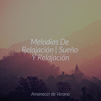Melodías De Relajación | Sueño Y Relajación