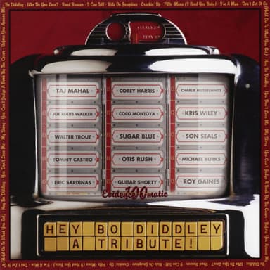 Hey Bo Diddley-A Tribute!