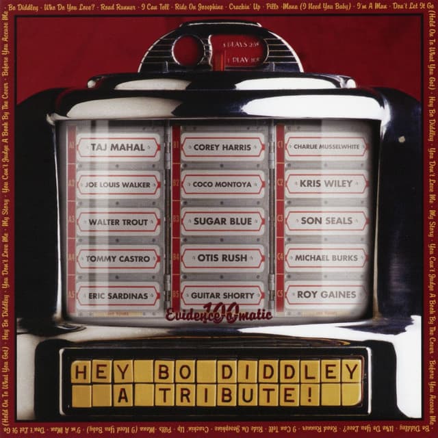 Hey Bo Diddley-A Tribute!